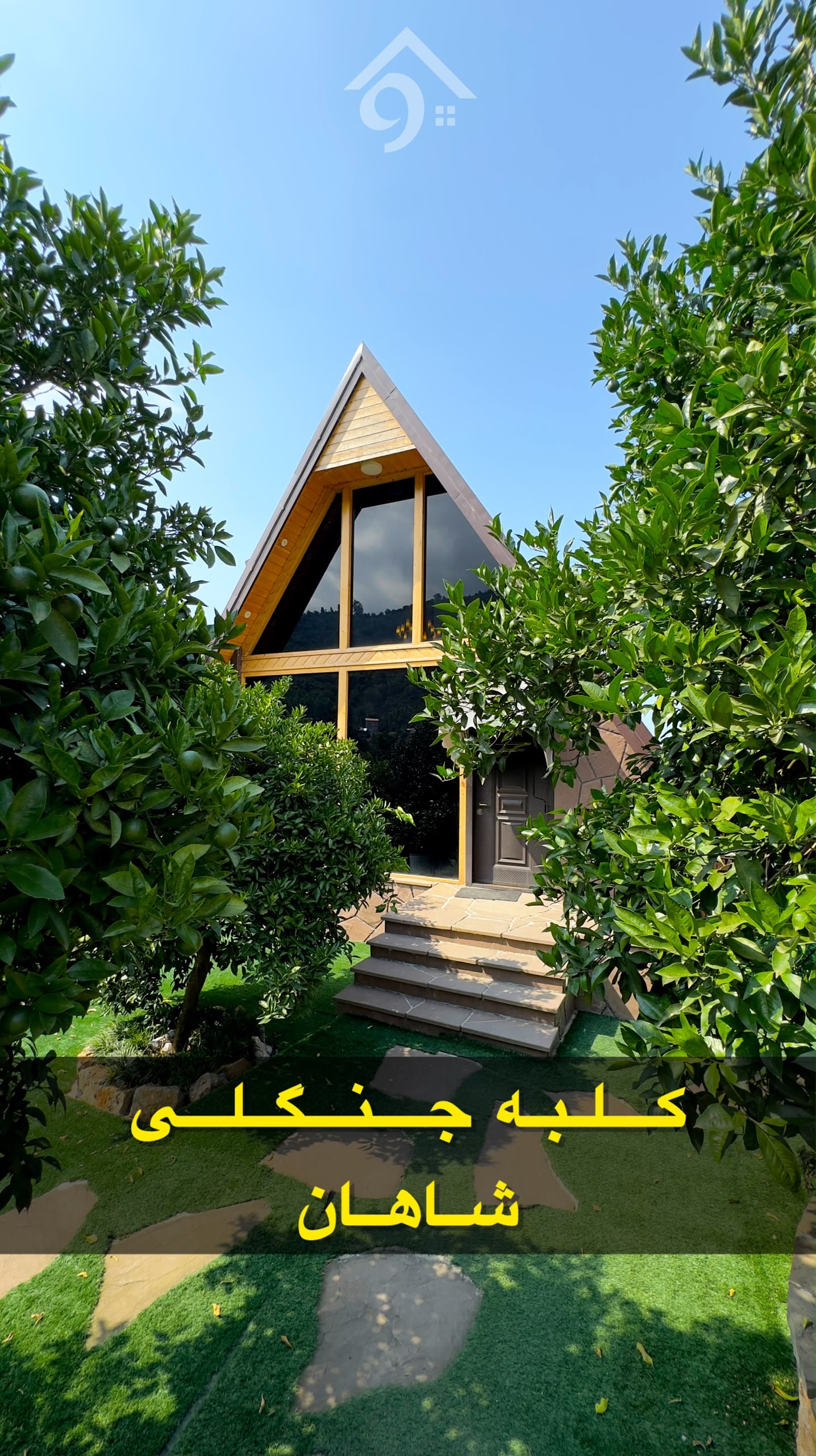 عکس شماره 353